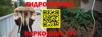 крисы Бузулук