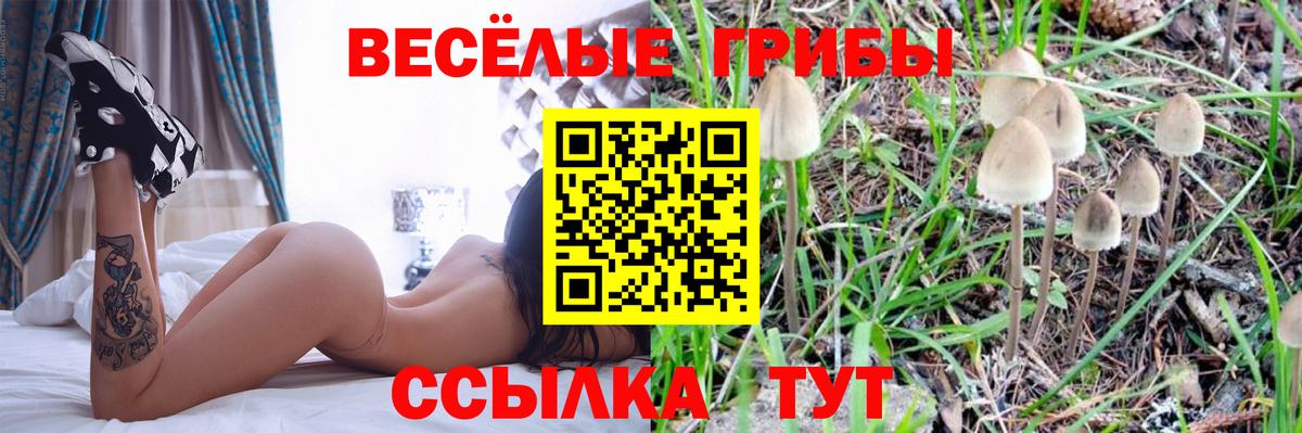 Ярцево  Псилоцибиновые грибы ЛСД  Галлюциногенные грибы Psilocybine cubensis  Вход с VPN 