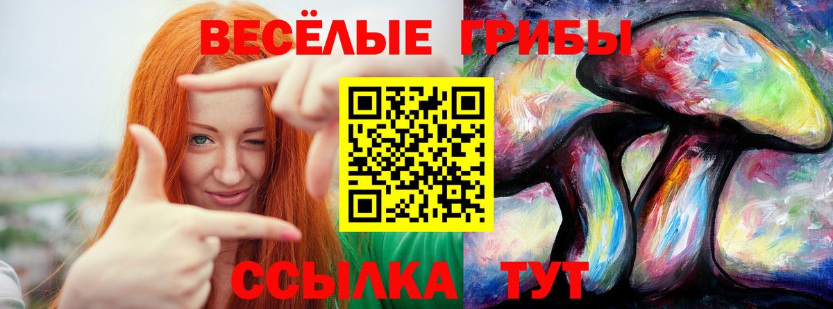 Галлюциногенные грибы Cubensis Ярцево